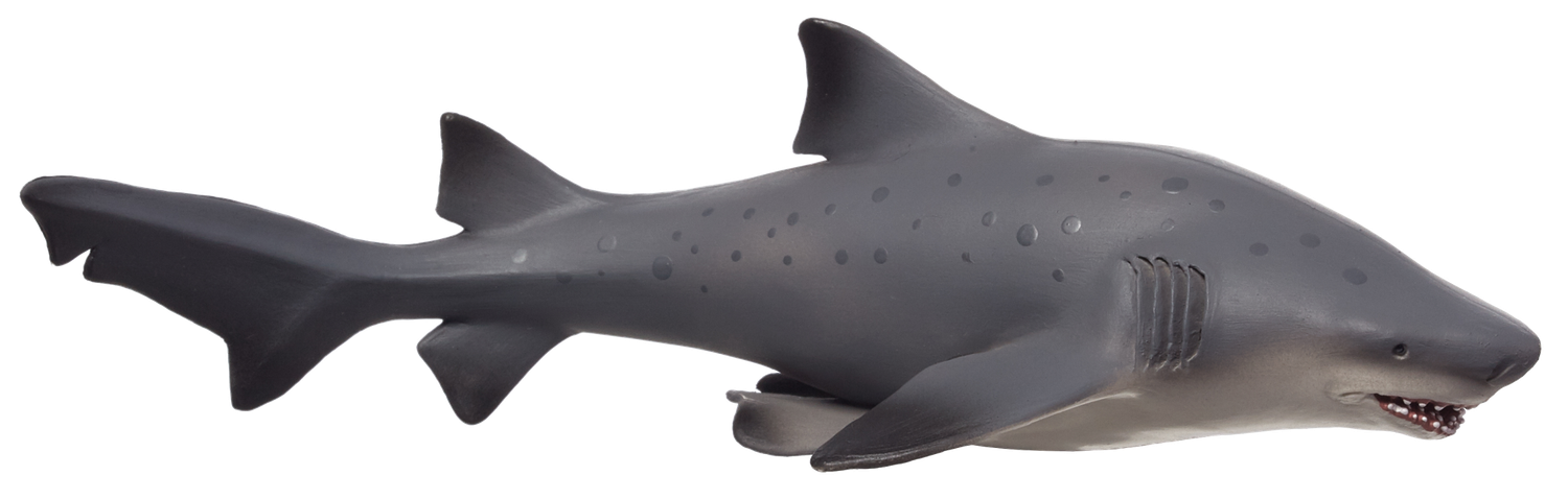 Bull Shark Deluxe
