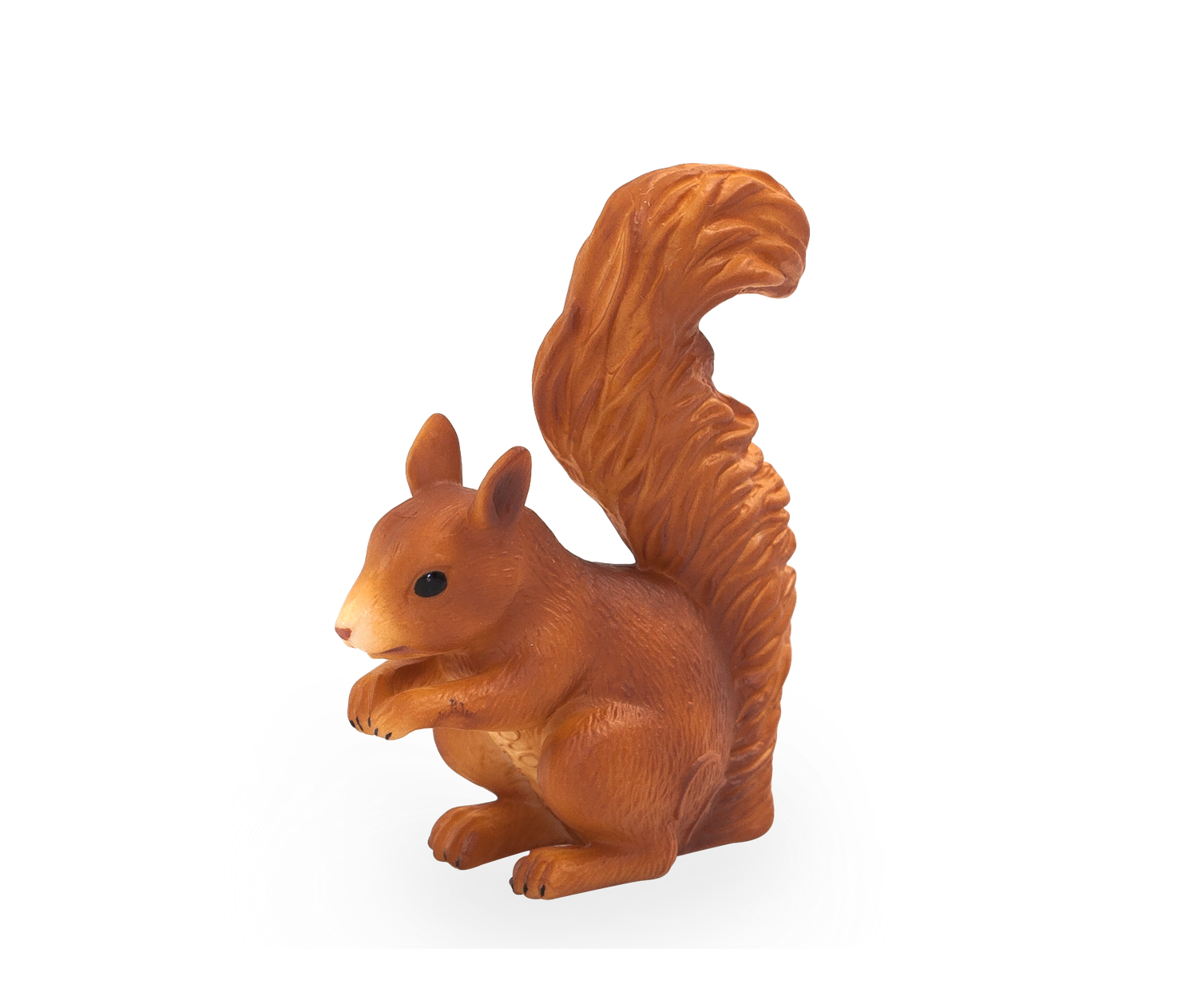 Squirrel Standing