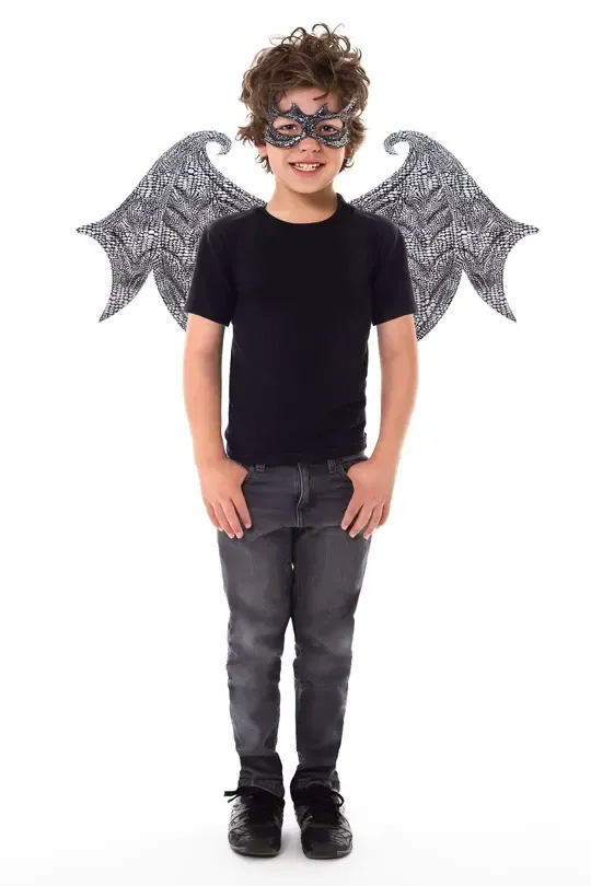 Black Dragon Wings &amp; Mask Set