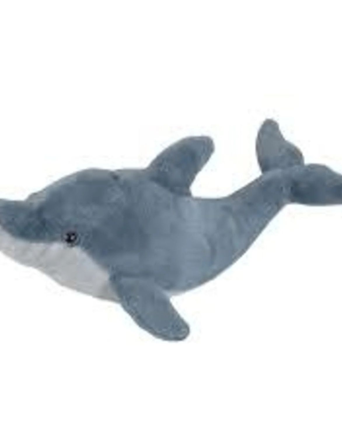 Dolphin