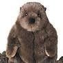 Chuckwood Groundhog