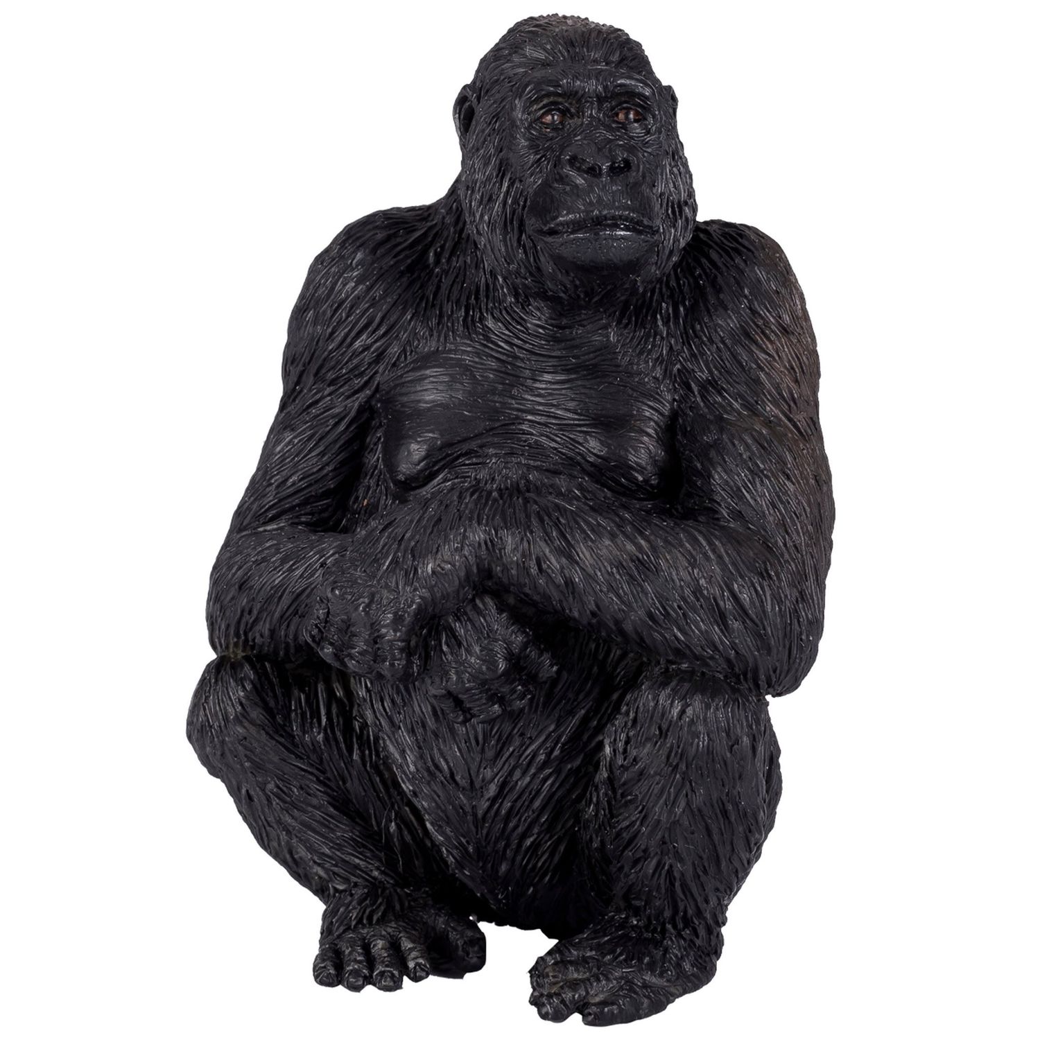 Gorilla Female