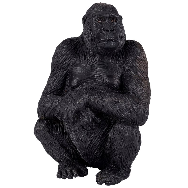 Gorilla Female