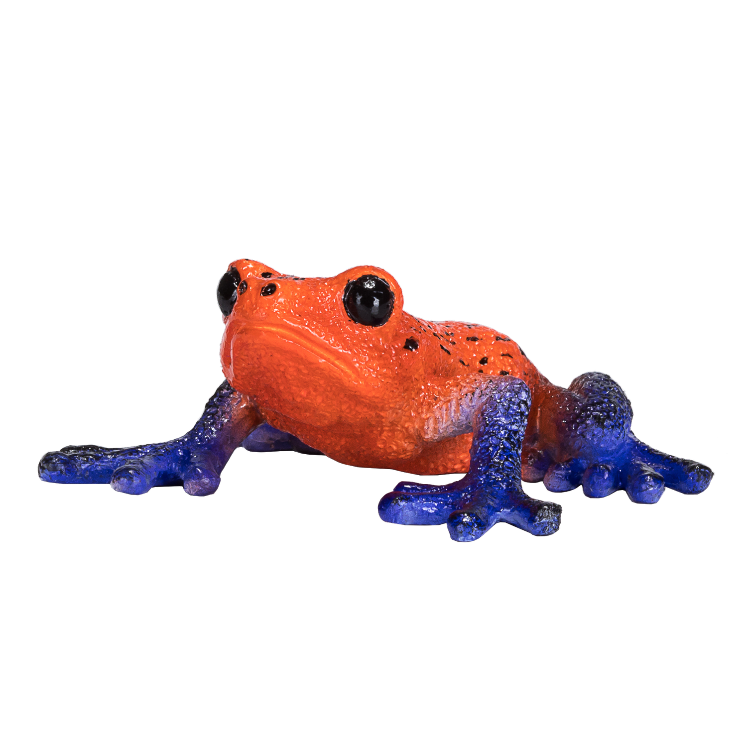 Poison Dart Tree Frog