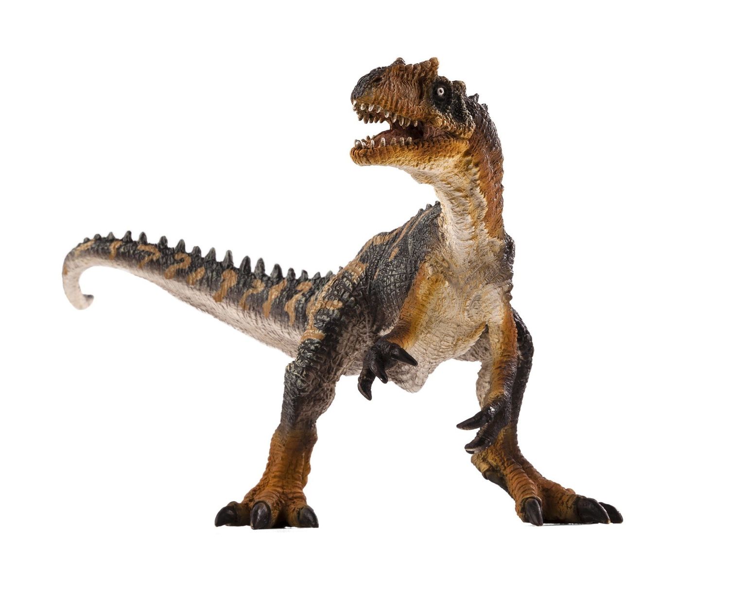 Allosaurus