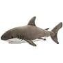 Fin Great White Shark