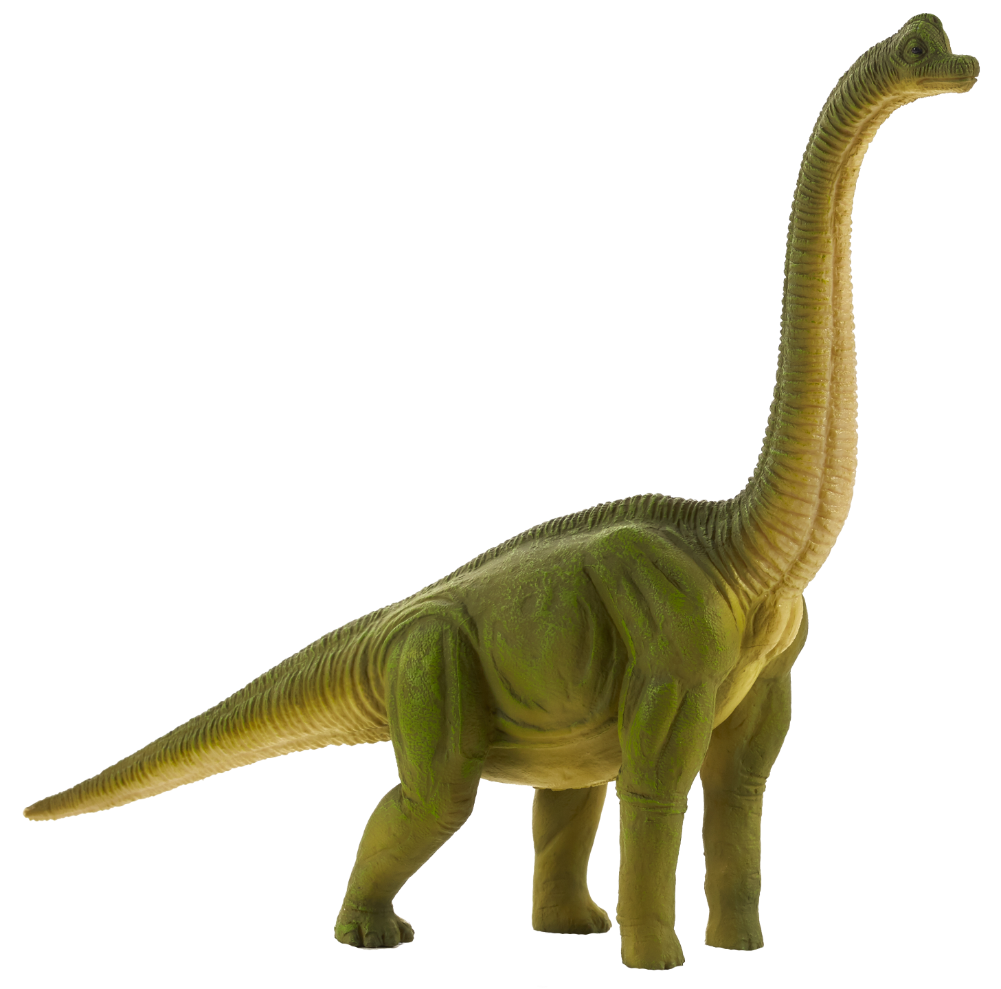 Brachiosaurus