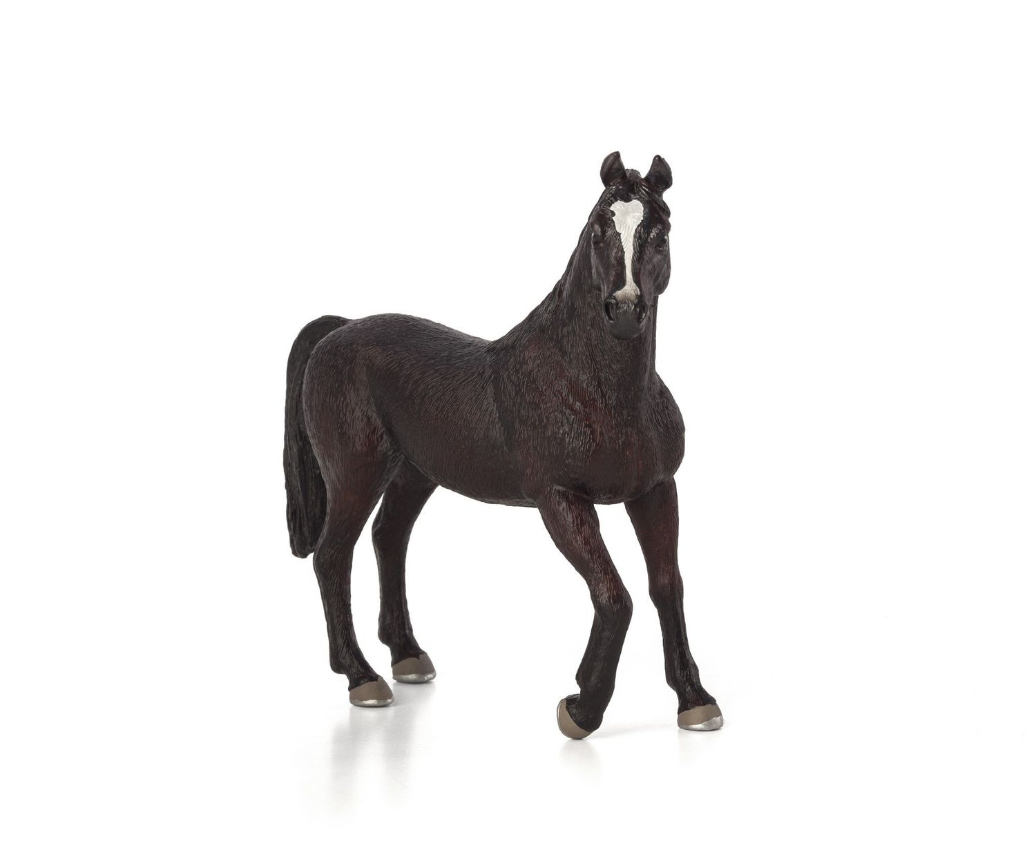 Arabian Stallion Black