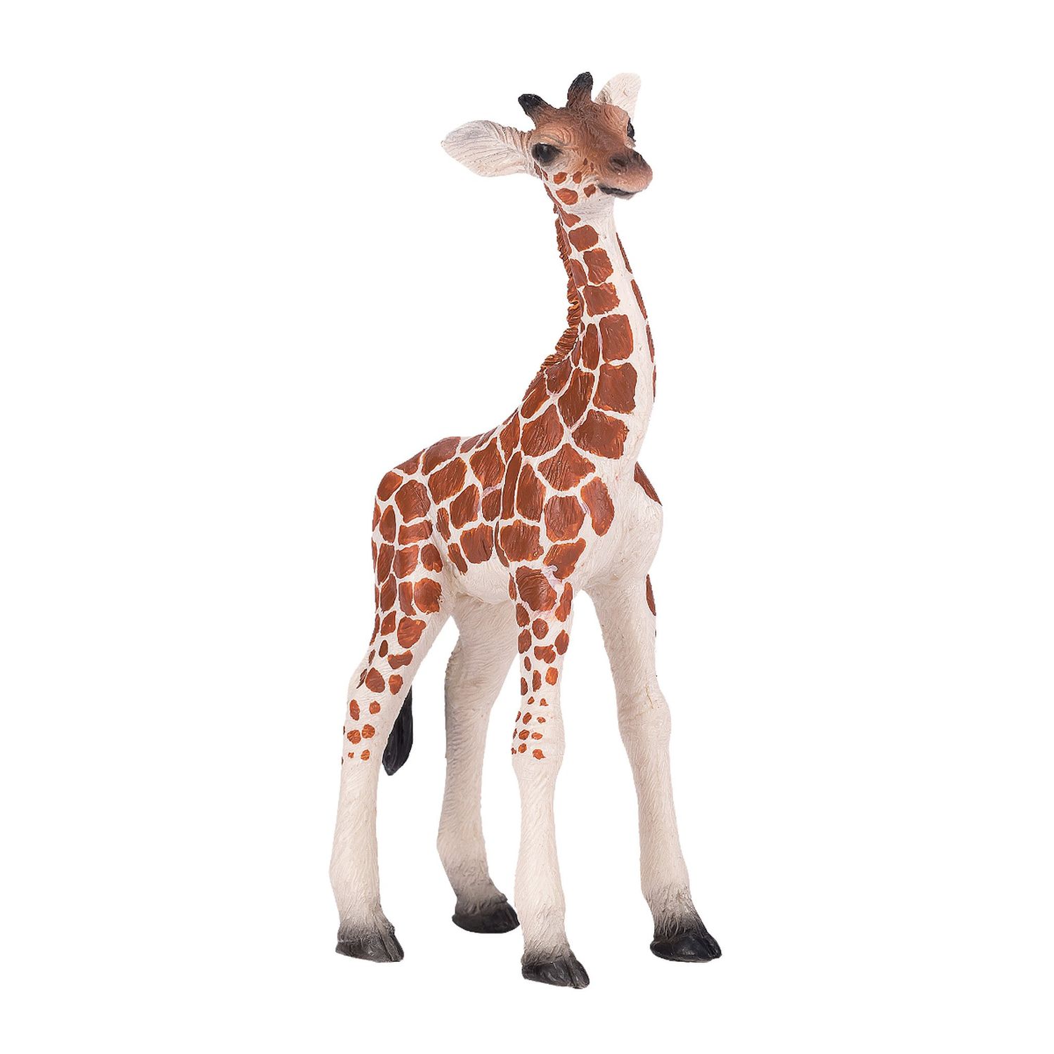 Giraffe Calf