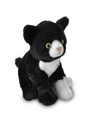 CK TUXEDO CAT