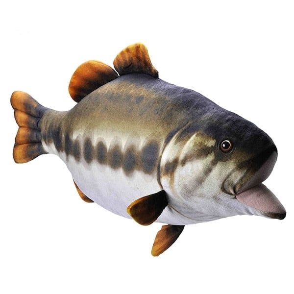 Largemouth Bass