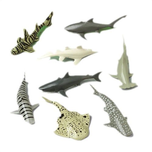 Sharks