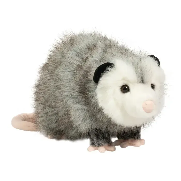 Ozzy Possum