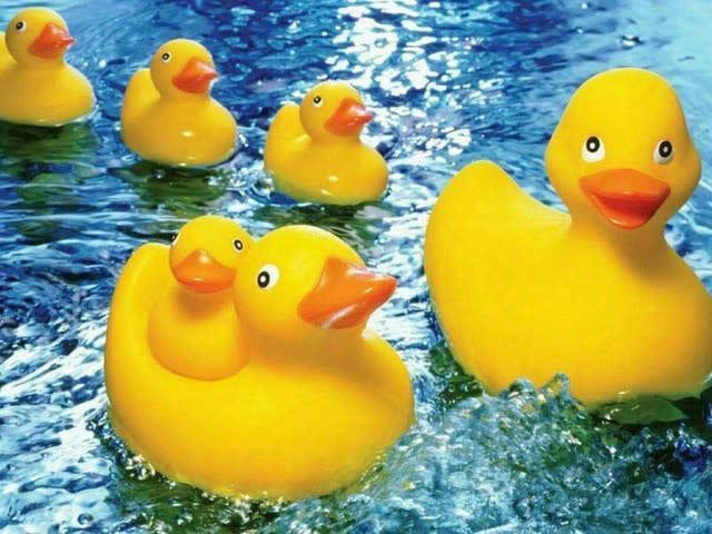 Rubber Duckies 60 Piece Jigsaw Puzzle