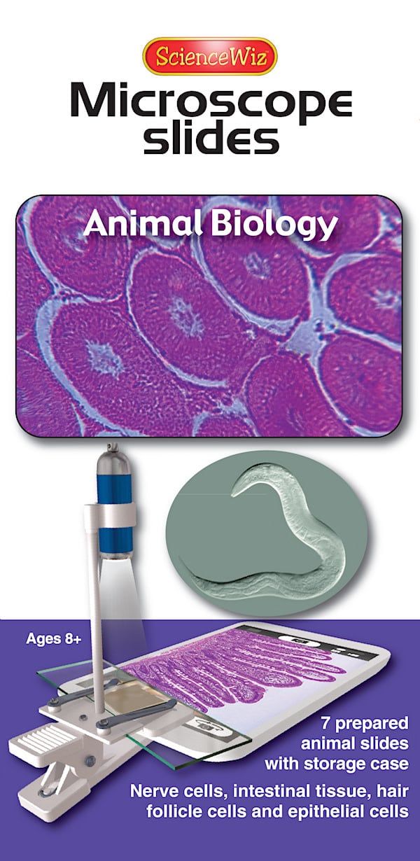 Animal Biology Slides (set of 7)