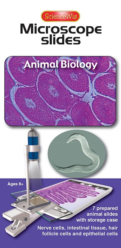 Animal Biology Slides (set of 7)