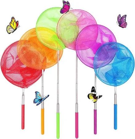 Telescoping Butterfly Net