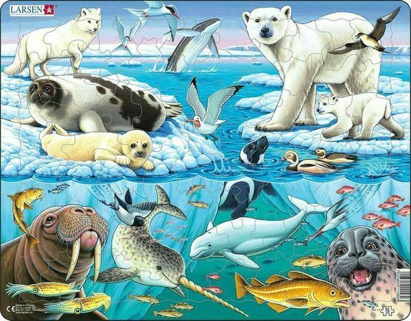 Arctic Ice 75 Piece Children's Educational Jigsaw Puzzle