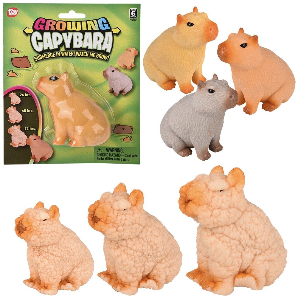 Growing Capybara