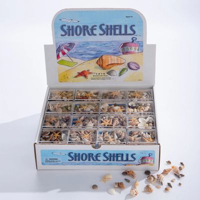 Shore Shells to Go