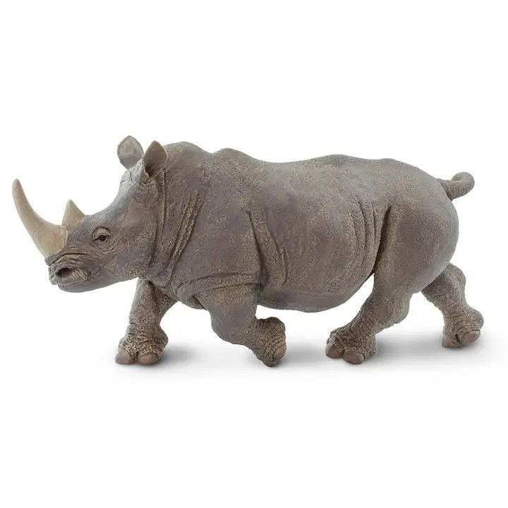 White Rhino - Large