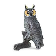 Long Eared Owl