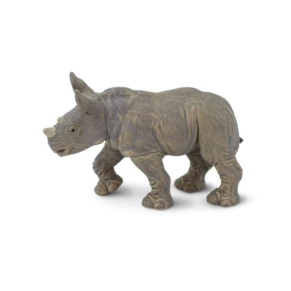 White Rhino Baby