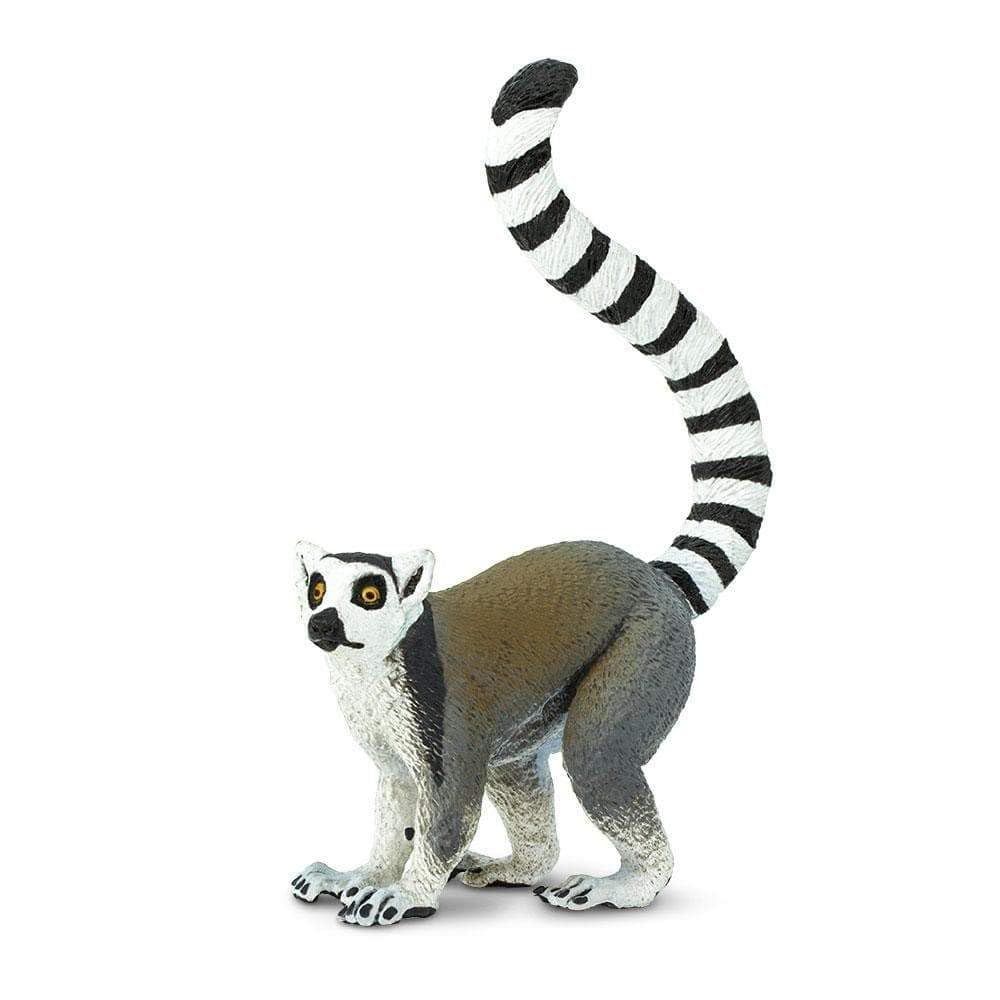 Ring- Tailed Lemur