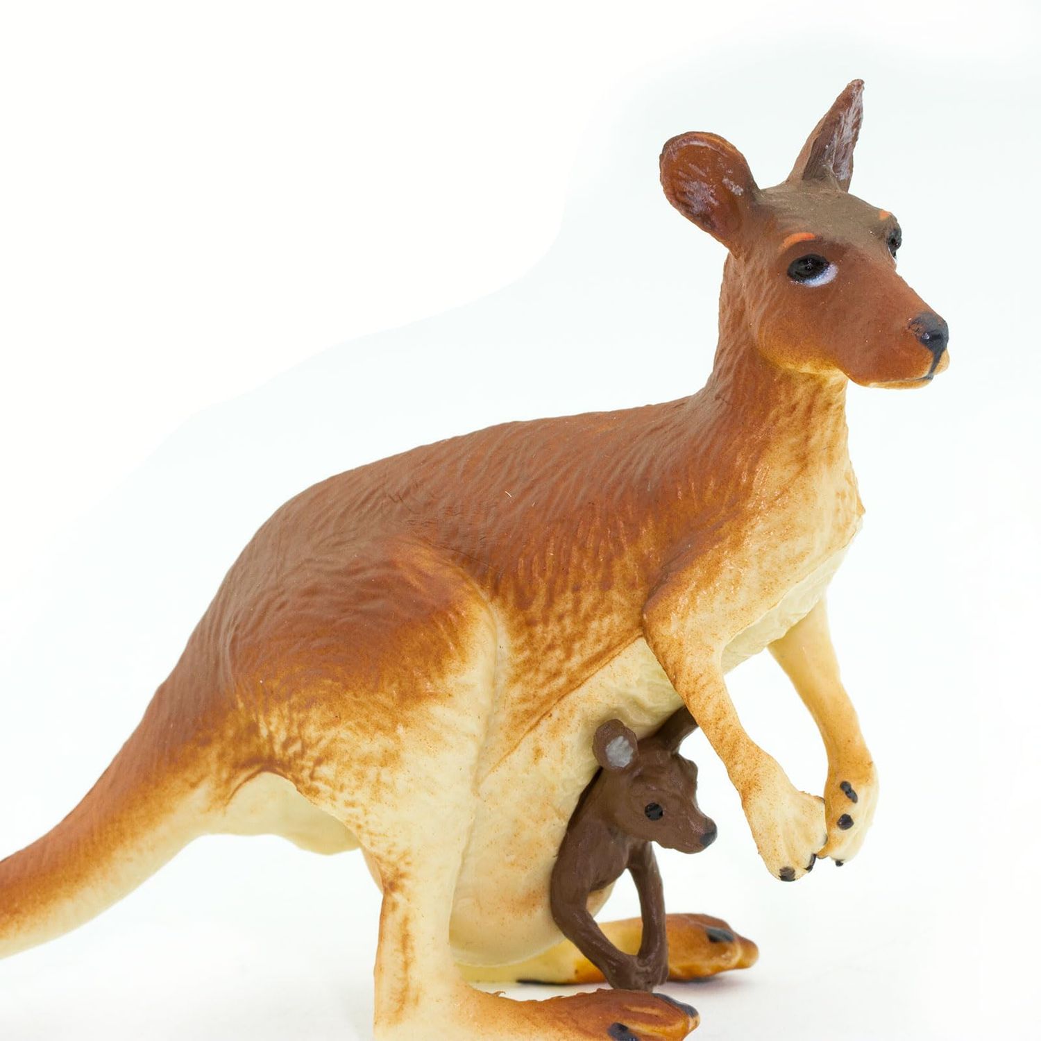 Kangaroo with Baby