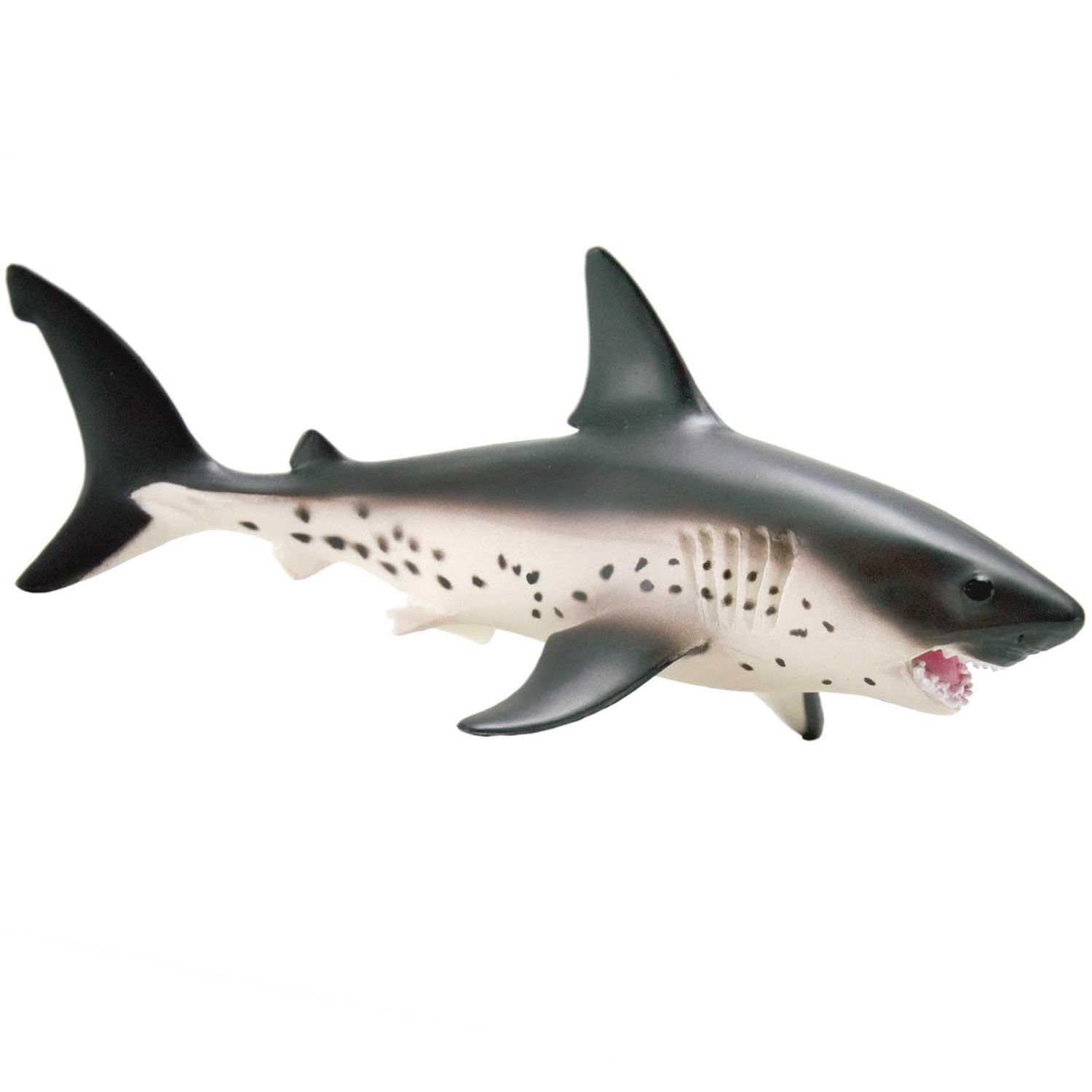 Salmon Shark