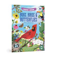 Learn to Draw Bugs, Birds &amp; Butterflies w/ stickers