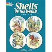 Shells of the World Coloring Book