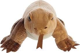 Komodo Dragon