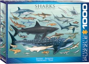 Sharks