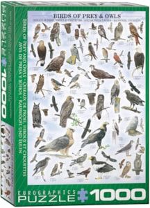 Birds of Prey and Owls