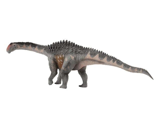 Ampleosaurus