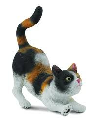 House Cat
