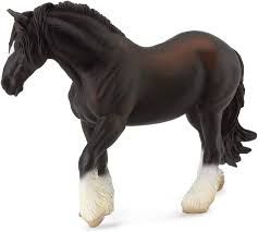Shire Horse Mare