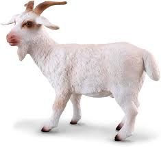Bill Goat