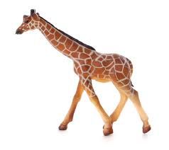 Reticulated Giraffe