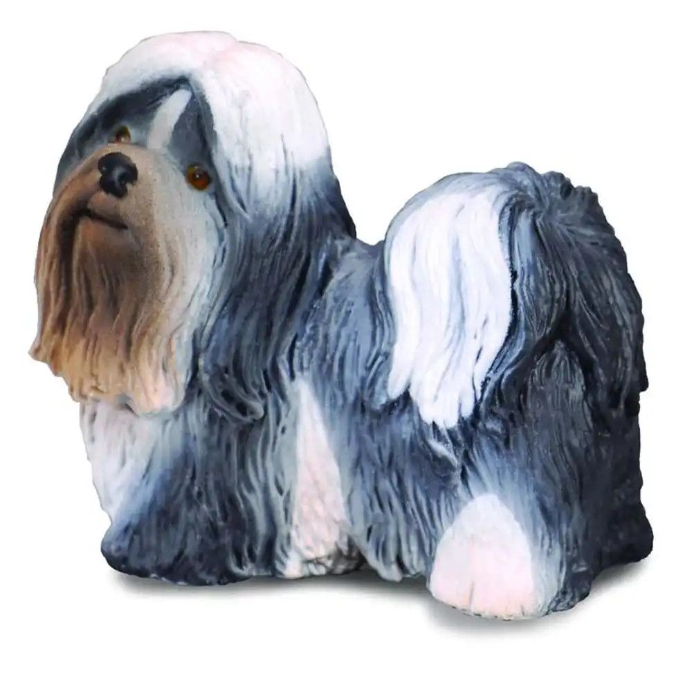 Dog: Shih Tzu