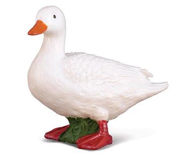 White Duck