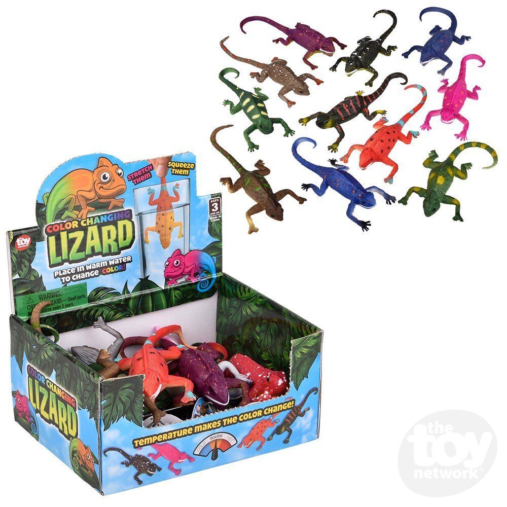 Color Changing Lizard