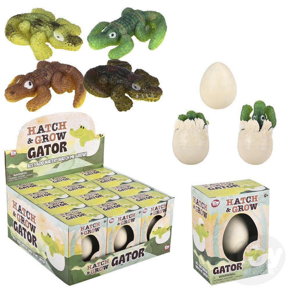 Hatch and Grow Gator Egg