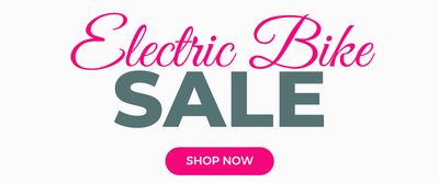 Electric Bikes