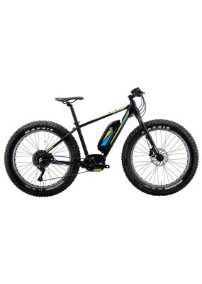 E-ASSIST