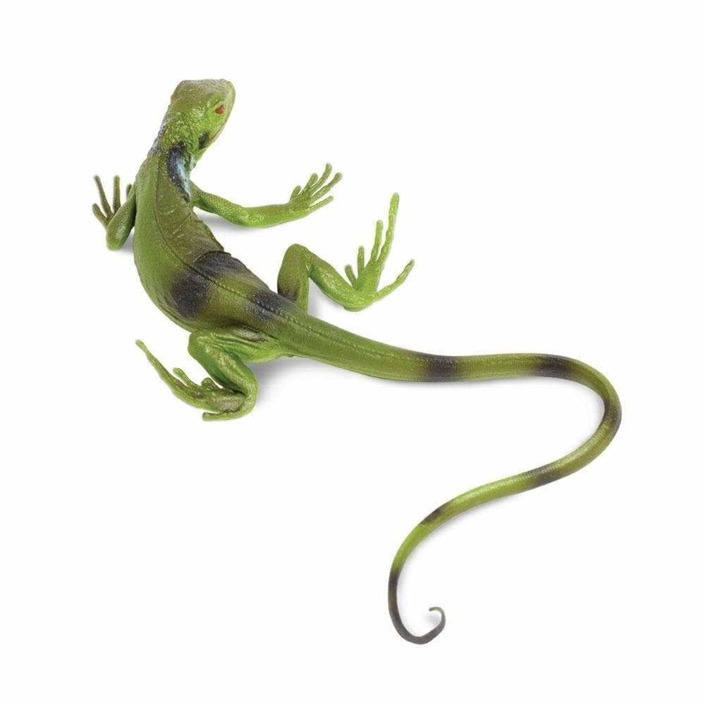 Safari Iguana Baby
