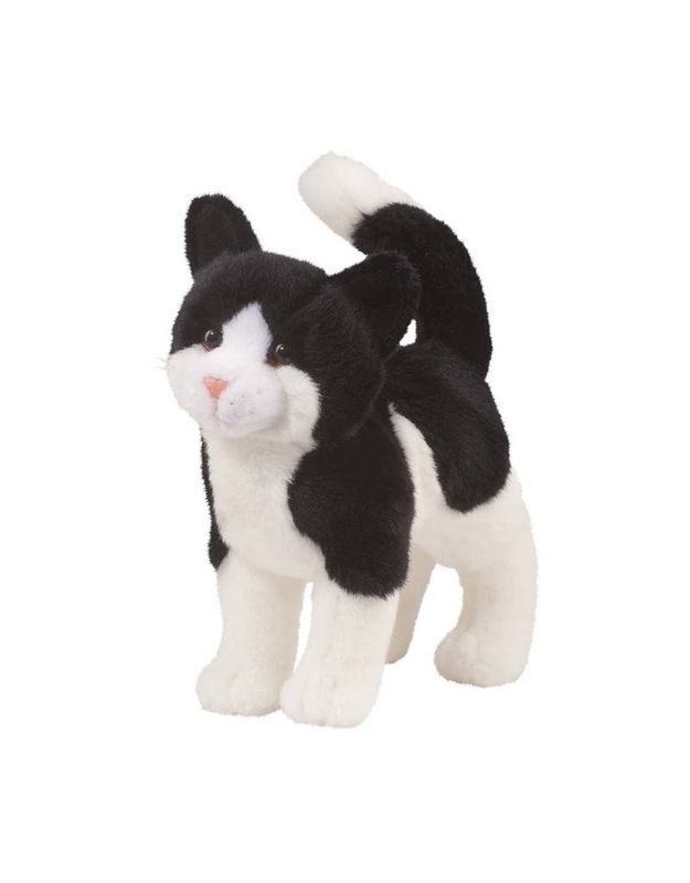 Scooter Black & White Cat