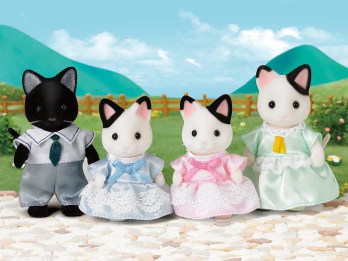CC Tuxedo Cat Family