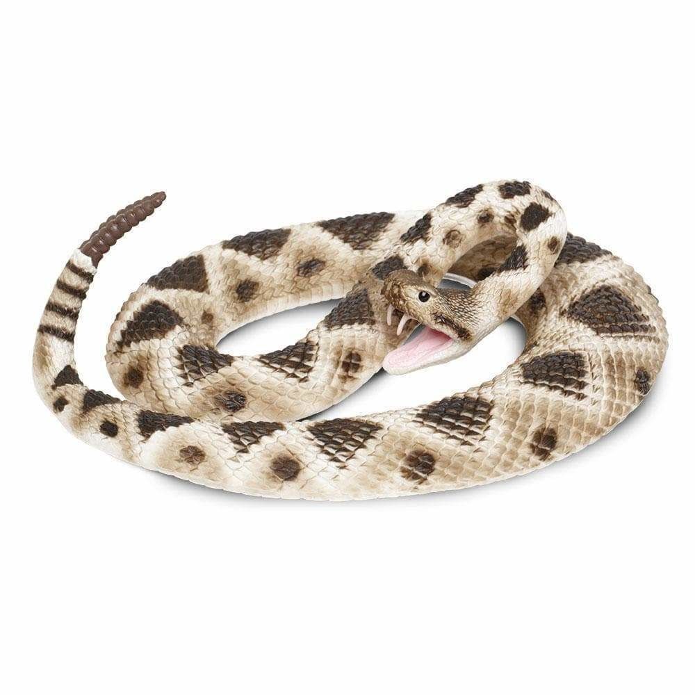 Safari Eastern Diamondback Rattlesnake